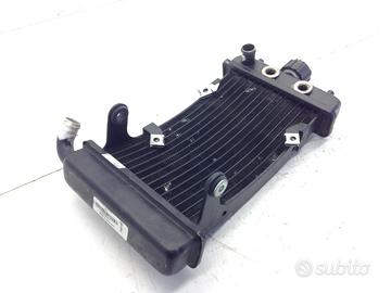 MALAGUTI PASSWORD 250 RADIATORE CQUA LIQUIDO RAFFR