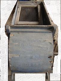 Spularella antica x sementi a ventilazione