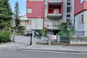 Negozio Teramo [Cod. rif A156VCG]