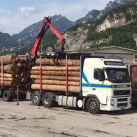 Volvo trasporto tronchi/ cippato