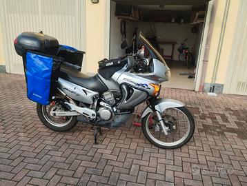 Transalp 650