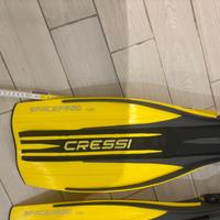 Pinne cressi sub