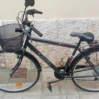 Bicicletta trekking da città