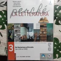 perché la letteratura 3