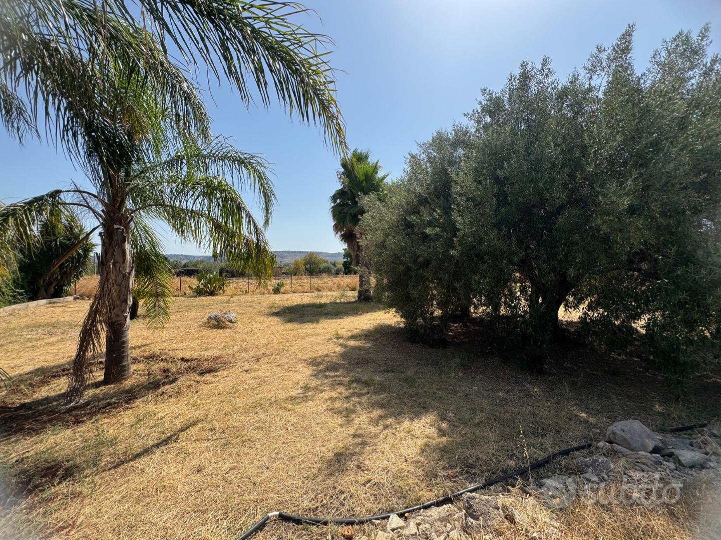 Terreno a 2 km da Floridia - Vista 4