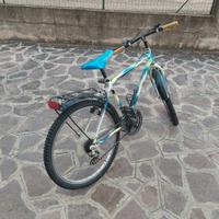 bicicletta con ruote 24’