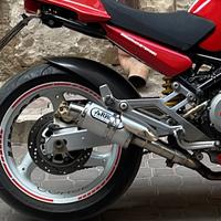 Terminali ducati monster XRacing