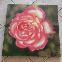 Set quadri e stampe decorative