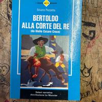 Bertoldo alla corte del re