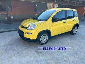 FIAT Panda PROMO FINANZ.PANDINA 1.0 Hybrid KM