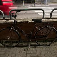 Bicicletta da città da donna