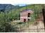 Immagine 9