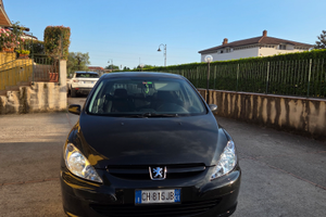 Peugeot 307 1.6 16v