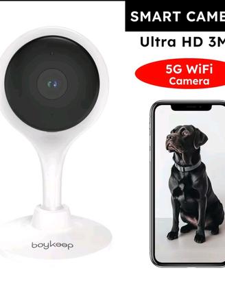 BoyKeep Telecamera di Sorveglianza 