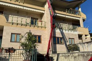 Piattaforma aerea ragno