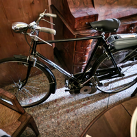 Bicicletta moschito motore