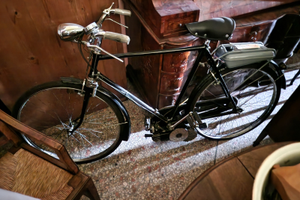 Bicicletta moschito motore