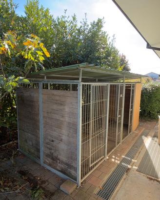 Box per cani zincato