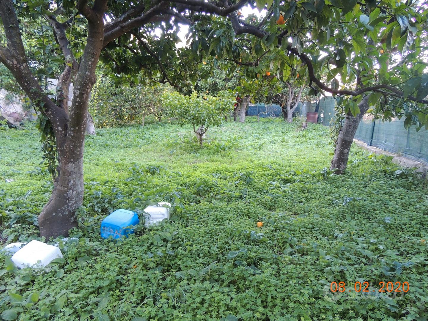 Casa indipendente con terreno - Vista 3