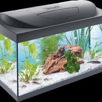 Acquario Tetra Starter Line LED da 54l

