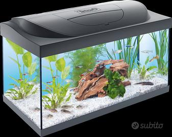 Acquario Tetra Starter Line LED da 54l

