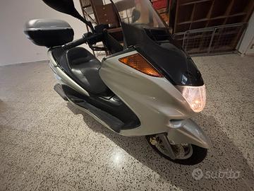 Majesty 250 anno 2000