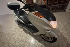 Majesty 250 anno 2000