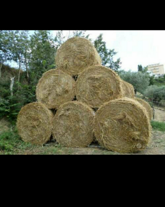 Ballone di fieno misto erba medica e paglia