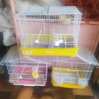 Come da foto...gabbie.....disponibili