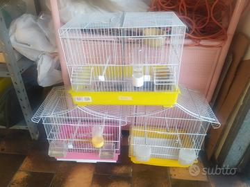 Come da foto...gabbie.....disponibili