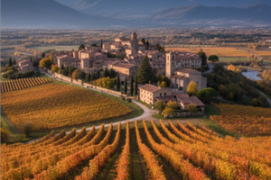 Vigneto Montepulciano Doc