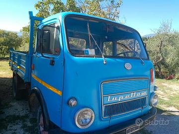 OM Lupetto 30