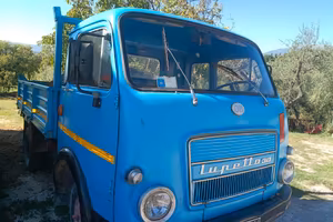 OM Lupetto 30