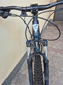 mtb 29  daytona