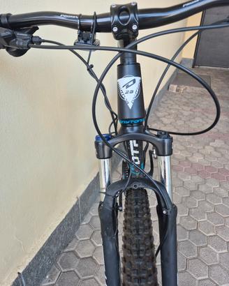 mtb 29  daytona