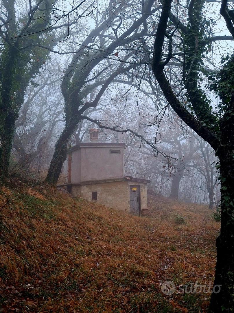 Terreno con annesso rustico - Vista 6