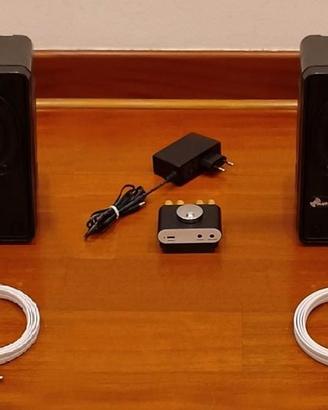 Amplificatore classe D con diffusori monovia