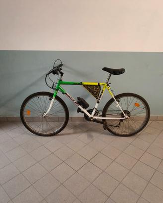 Mountain-bike 