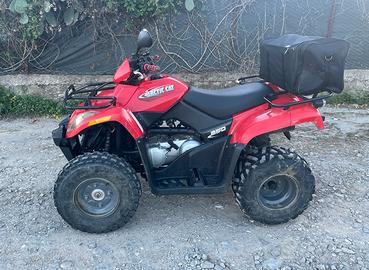 Arctic cat 250 Kymco