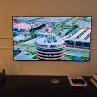 TV LG OLED G2 55 Pollici