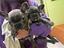 Immagine 3