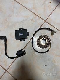 Bobina centralina e statore rotax 122