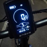 bici elettrica 