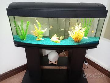 Acquario 80 litri