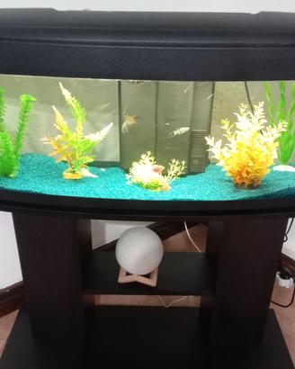 Acquario 80 litri