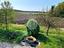 Immagine 20
