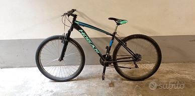 Mountain Bike Hogan - Da revisionare