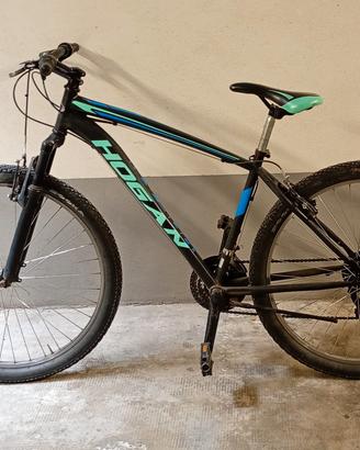Mountain Bike Hogan - Da revisionare