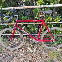 Wheeler Triathlon T2 con cerchi Shamal