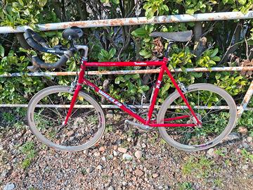 Wheeler Triathlon T2 con cerchi Shamal